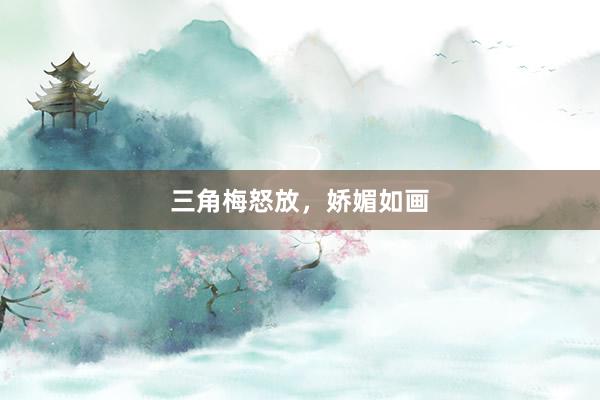 三角梅怒放，娇媚如画