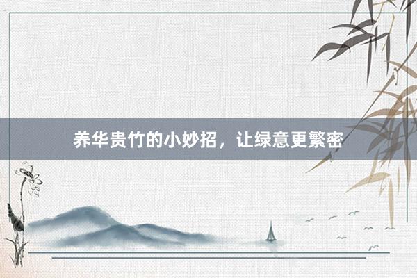 养华贵竹的小妙招，让绿意更繁密
