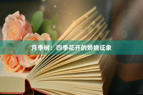 月季树：四季花开的娇娆征象